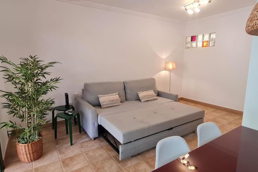 Apartament Jardin Del Teide Puerto de la Cruz  Zewnętrze zdjęcie